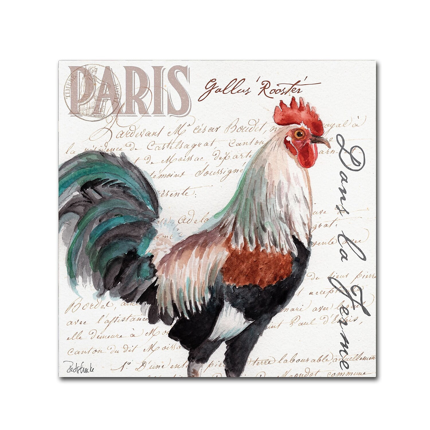Trademark Fine Art "Dans la Ferme Rooster III" Canvas Art by Jennifer Redstreake