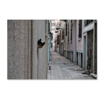 Trademark Fine Art 'Dantel Street Cat' Canvas Art by Ali Ayer