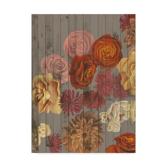 Trademark Fine Art 'Danza del Sol I' Canvas Art by Grace Popp