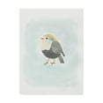 thumbnail image 1 of Trademark Fine Art 'Dapper Bird II' Canvas Art by June Erica Vess, 1 of 4