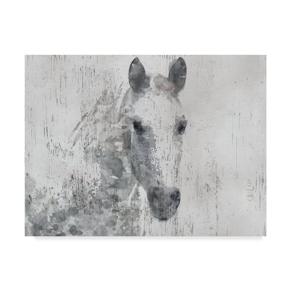 Trademark Fine Art 'Dapple Horse I' Canvas Art by Irena Orlov