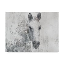 Trademark Fine Art 'Dapple Horse I' Canvas Art by Irena Orlov