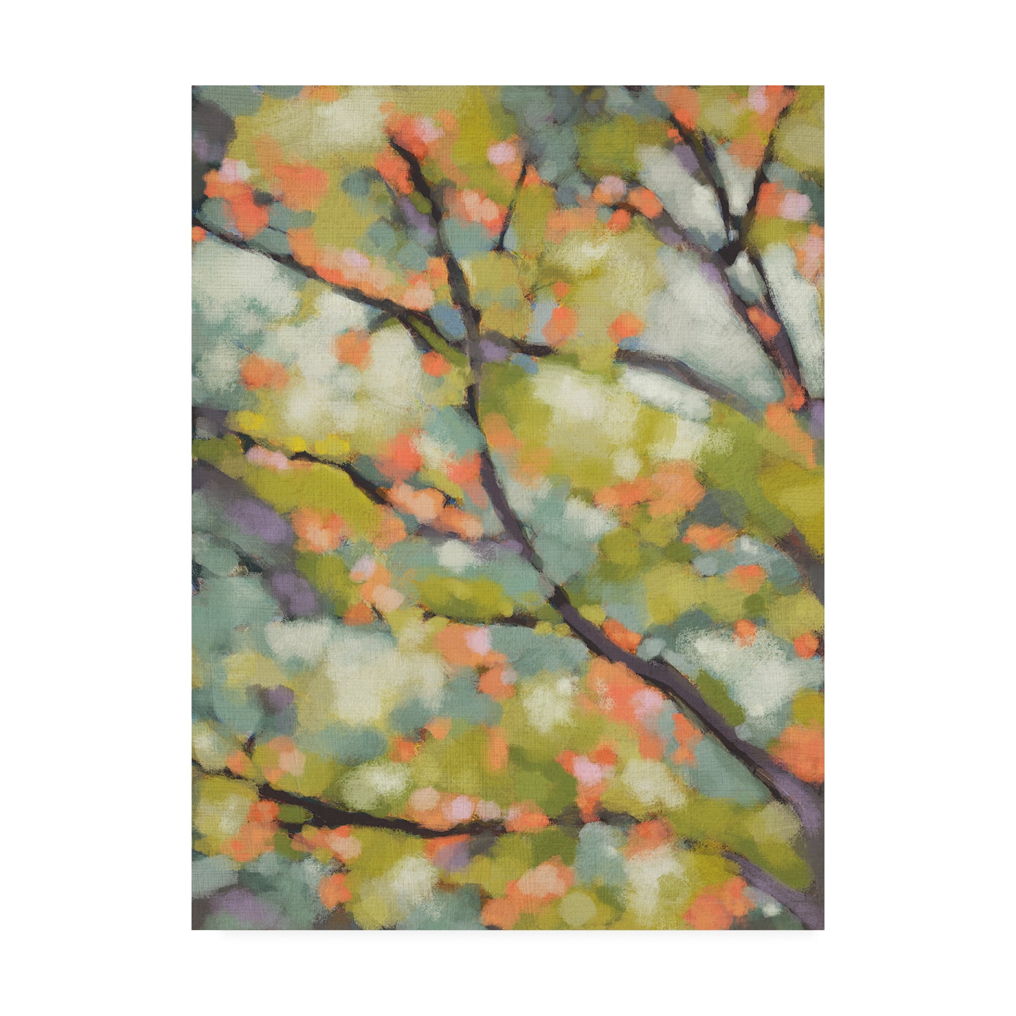 Trademark Fine Art 'Dappled Dusk I' Canvas Art by Chariklia Zarris