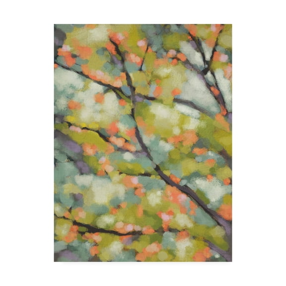 Trademark Fine Art 'Dappled Dusk I' Canvas Art by Chariklia Zarris