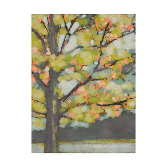 Trademark Fine Art 'Dappled Dusk III' Canvas Art by Chariklia Zarris