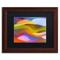 Trademark Fine Art "Dappled Light 9" Canvas Art by Amy Vangsgard Black Matte, Wood Frame