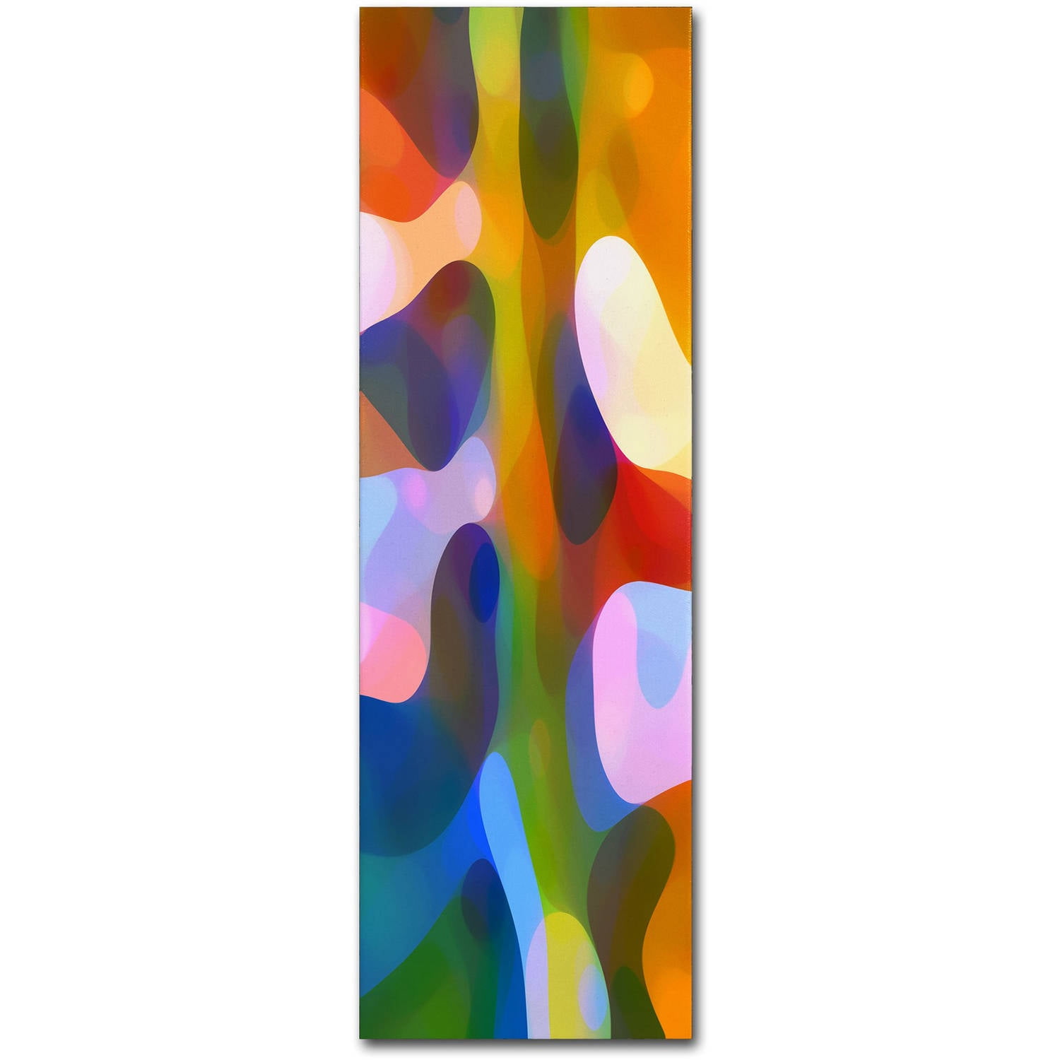 Colorful Abstract Vertical Canvas Art with Wood Frame