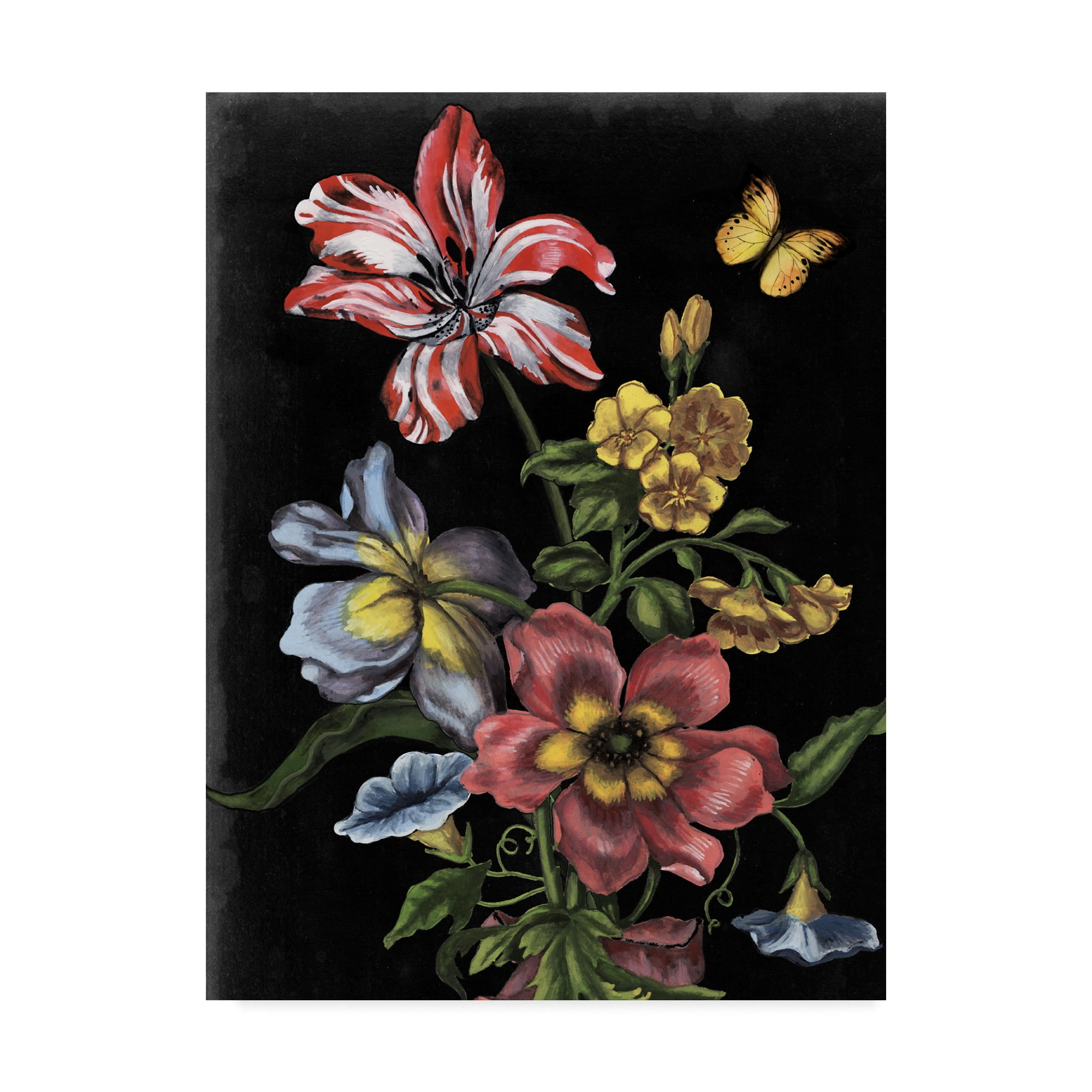 Mid-Century Modern Framed Floral Canvas Art in Black Background