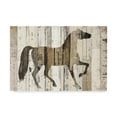 thumbnail image 1 of Trademark Fine Art 'Dark Horse v2' Canvas Art by Michael Mullan, 1 of 3