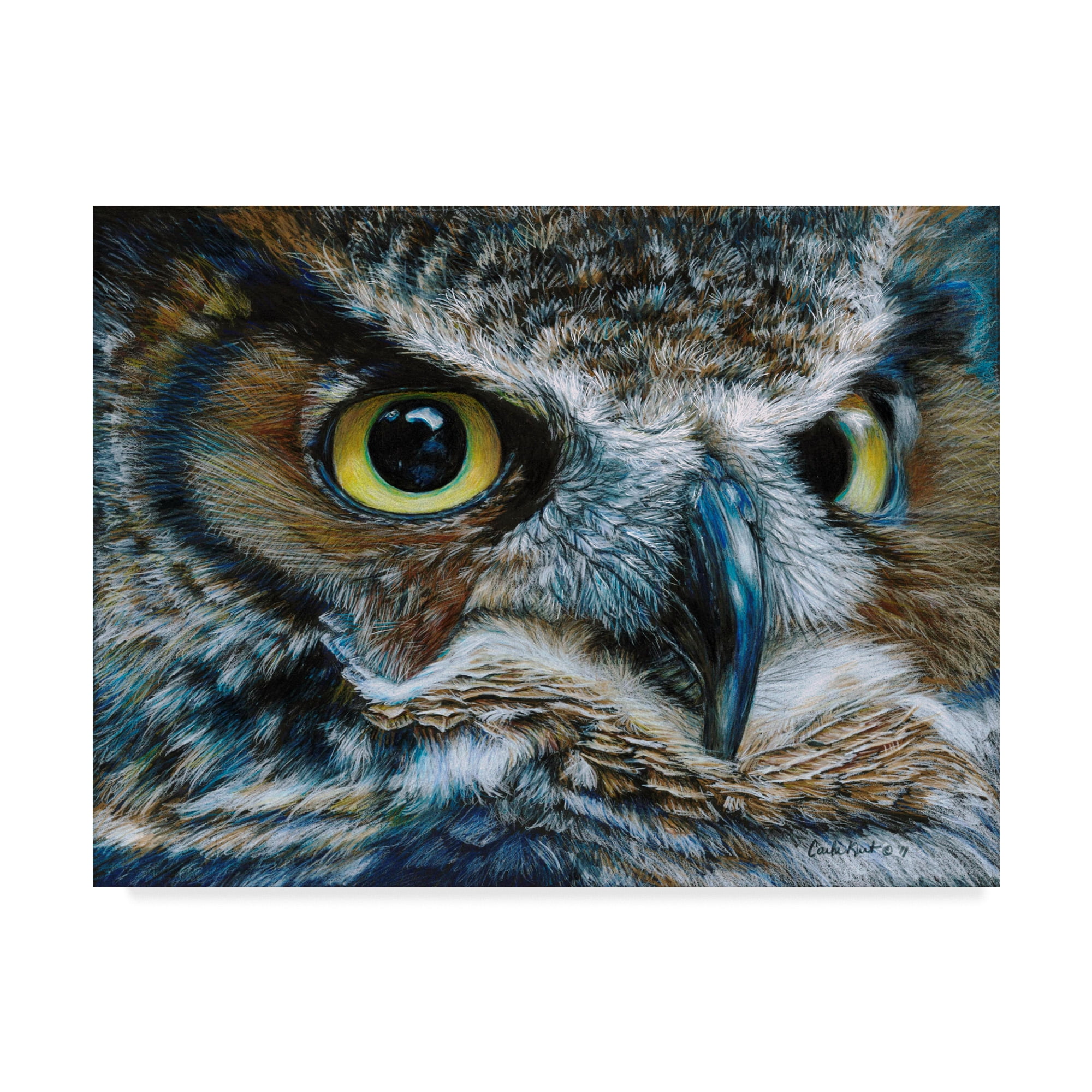 Trademark Fine Art 'Dark Owl' Canvas Art by Carla Kurt