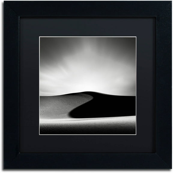Trademark Fine Art "Dark Shadows" Canvas Art by Dave MacVicar, Black Matte, Black Frame