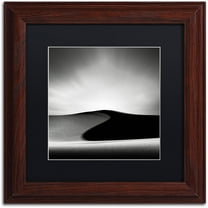 Trademark Fine Art "Dark Shadows" Canvas Art by Dave MacVicar, Black Matte, Wood Frame