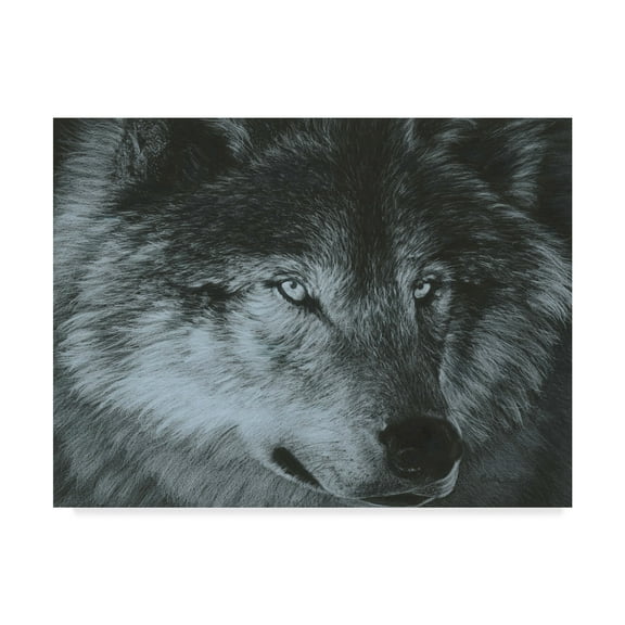 Trademark Fine Art 'Dark Wolf' Canvas Art by Carla Kurt