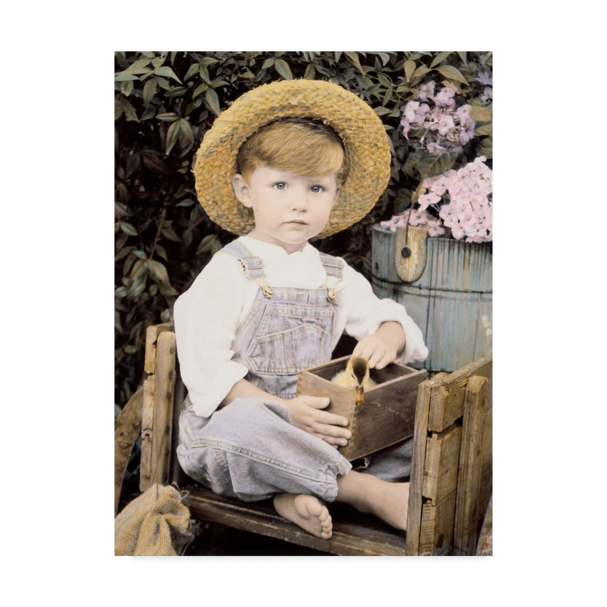Trademark Fine Art 'Darling Duckling' Canvas Art by Sharon Forbes