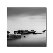 Trademark Fine Art Dave MacVicar 'Calm' 14 x 14 (ALI0824-C1414GG)