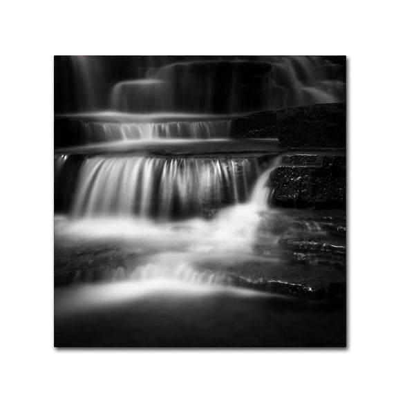 Trademark Fine Art Dave MacVicar 'Cascade' 18 x 18 (ALI0825-C1818GG)