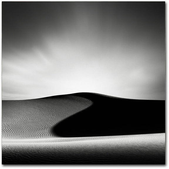 Trademark Fine Art Dave MacVicar 'Dark Shadows' 14 x 14 (ALI0869-C1414GG)