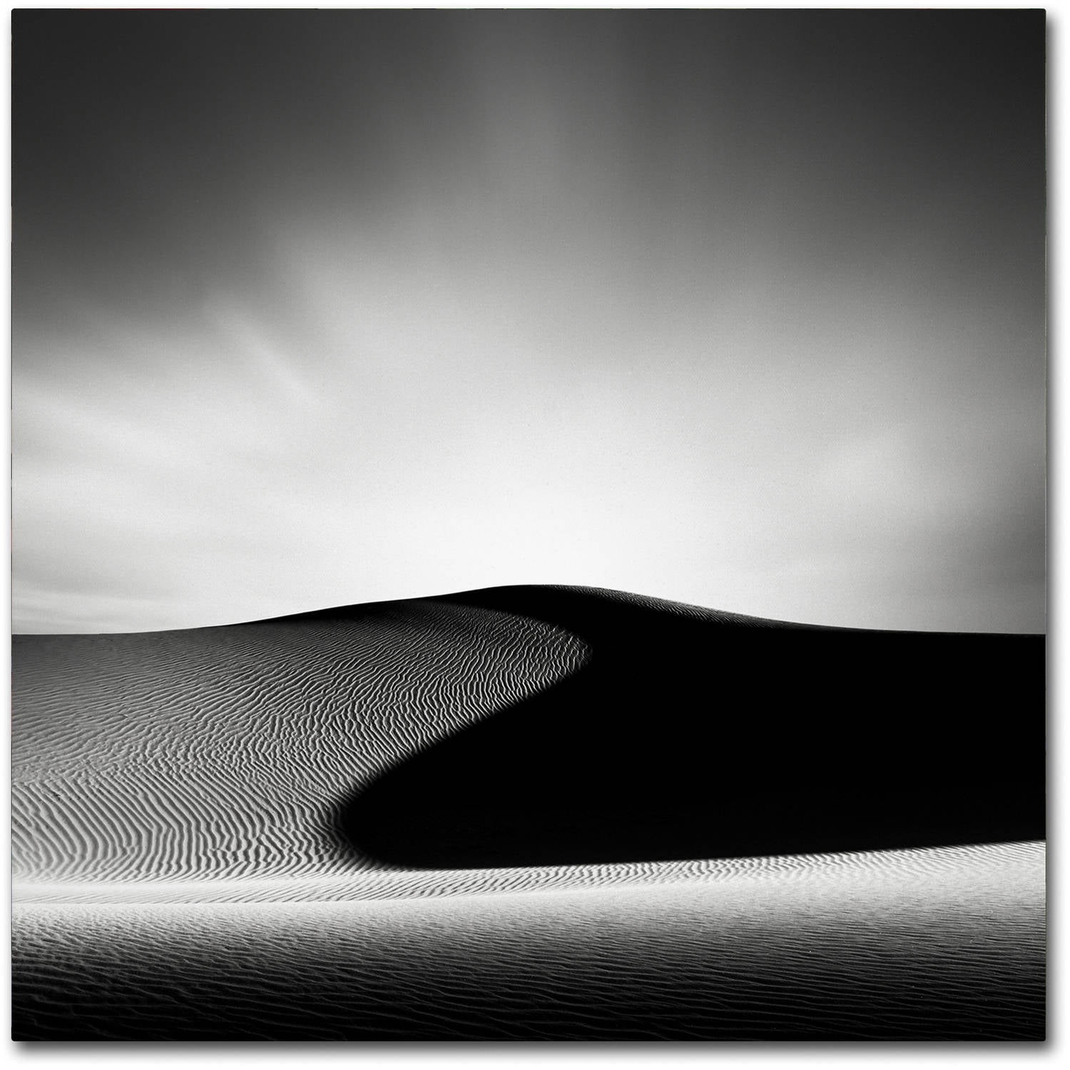 Trademark Fine Art Dave MacVicar 'Dark Shadows' 18 x 18 (ALI0869-C1818GG)