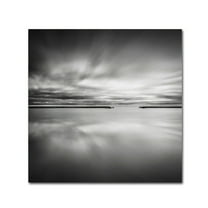 Trademark Fine Art Dave MacVicar 'Double Vision' 14 x 14 (ALI0828-C1414GG)