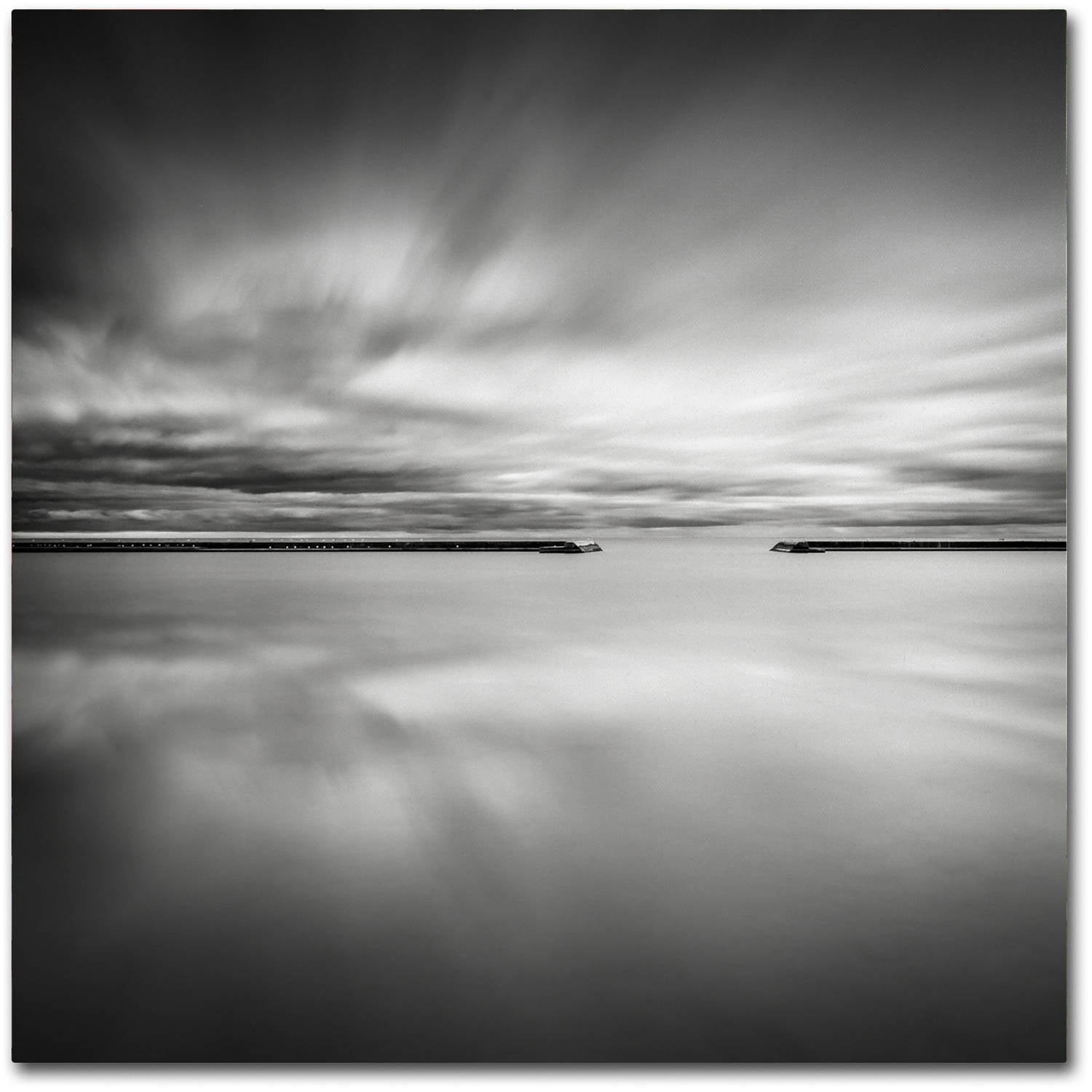Trademark Fine Art Dave MacVicar 'Double Vision' 24 x 24 (ALI0828-C2424GG)
