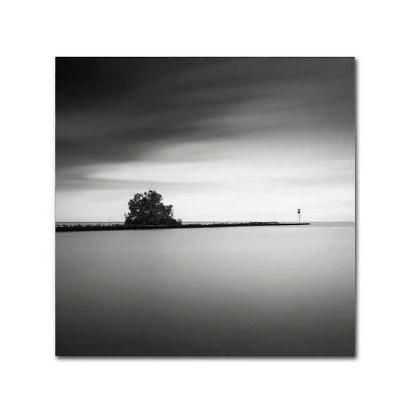 Trademark Fine Art Dave MacVicar 'Erieau 2' 14 x 14 (ALI0831-C1414GG)