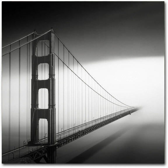 Trademark Fine Art Dave MacVicar 'Into The Mystic' 14 x 14 (ALI0835-C1414GG)