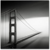 Trademark Fine Art Dave MacVicar 'Into The Mystic' 14 x 14 (ALI0835-C1414GG)