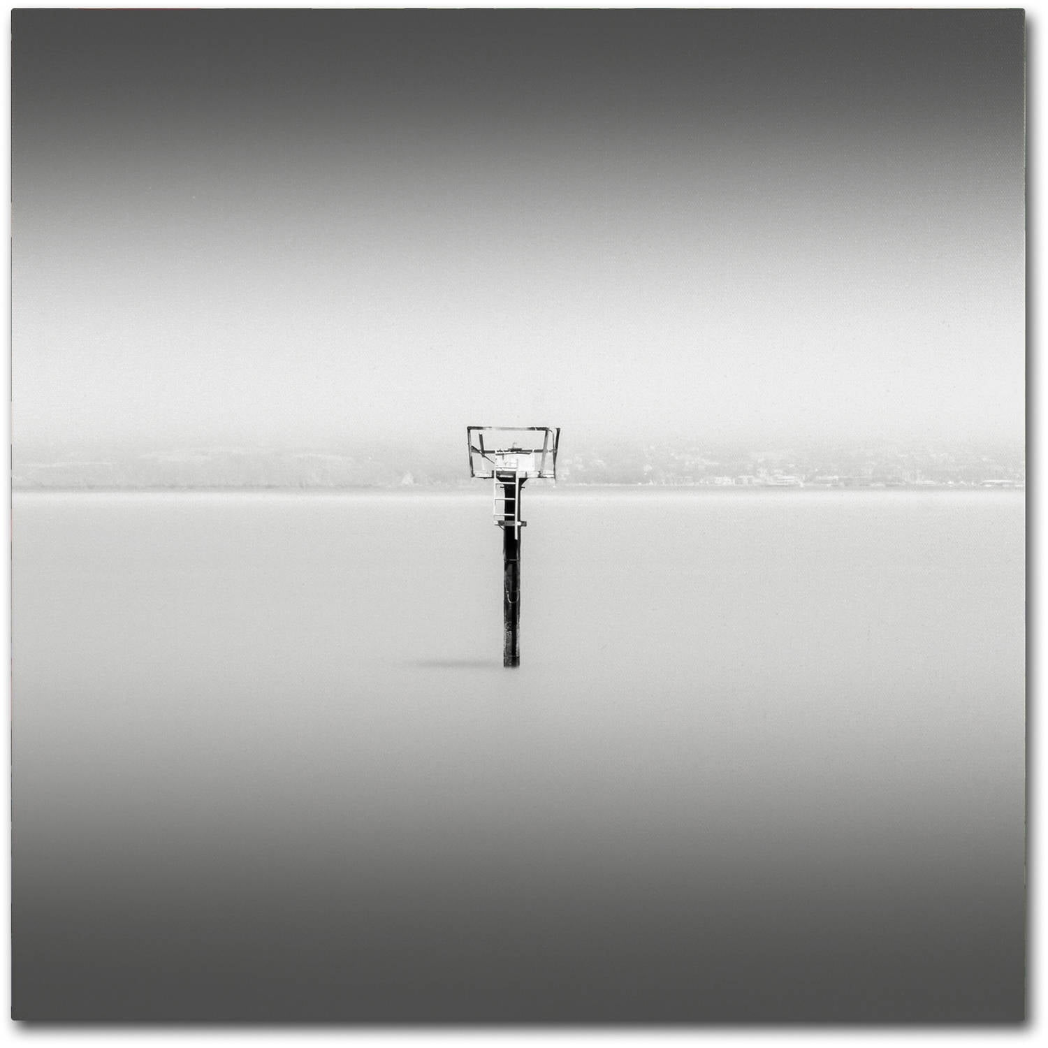 Trademark Fine Art Dave MacVicar 'Isolation' 14 x 14 (ALI0836-C1414GG)