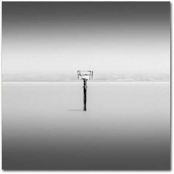 Trademark Fine Art Dave MacVicar 'Isolation' 14 x 14 (ALI0836-C1414GG)