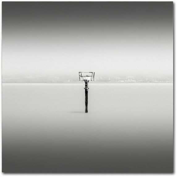 Trademark Fine Art Dave MacVicar 'Isolation' 18 x 18 (ALI0836-C1818GG)