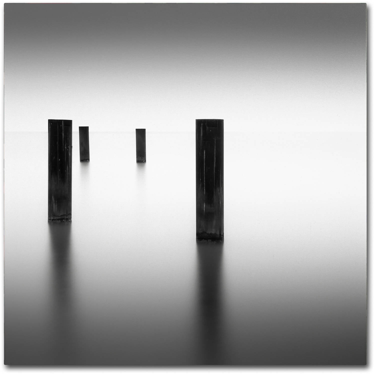 Trademark Fine Art Dave MacVicar 'Lucid' 14 x 14 (ALI0841-C1414GG)
