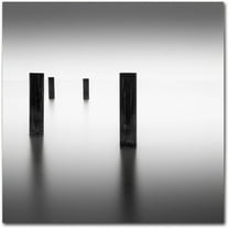 Trademark Fine Art Dave MacVicar 'Lucid' 14 x 14 (ALI0841-C1414GG)