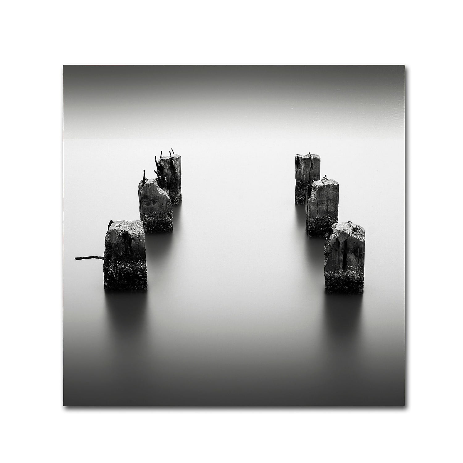 Trademark Fine Art Dave MacVicar 'Pillars' 14 x 14 (ALI0845-C1414GG)