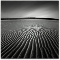 Trademark Fine Art Dave MacVicar 'Ripples' 14 x 14 (ALI0875-C1414GG)