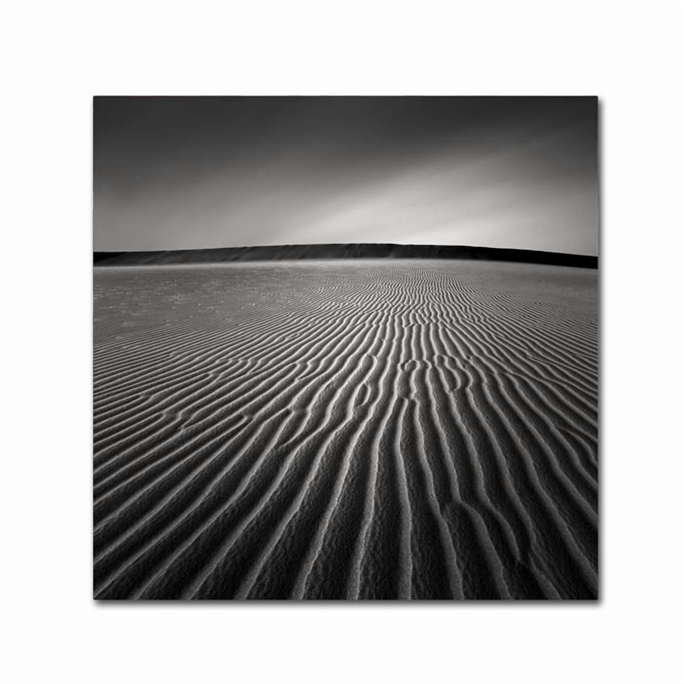 Dave MacVicar 'Ripples' Canvas Wall Art 14 x 14