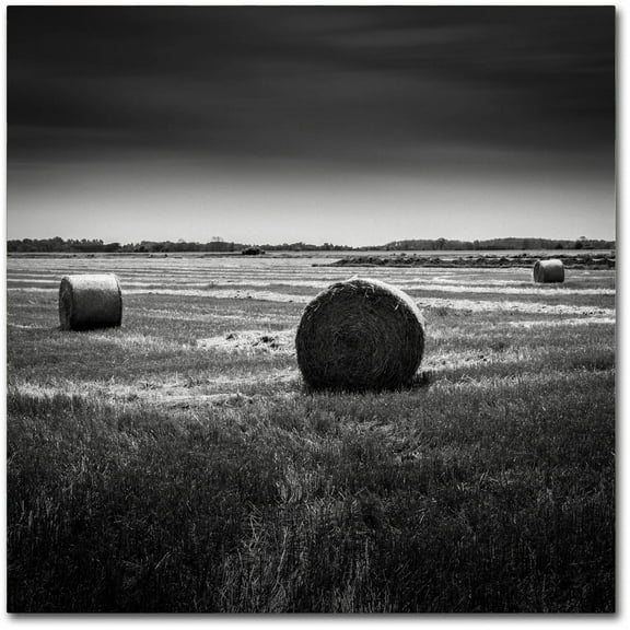 Trademark Fine Art Dave MacVicar 'Rural' 14 x 14 (ALI0848-C1414GG)