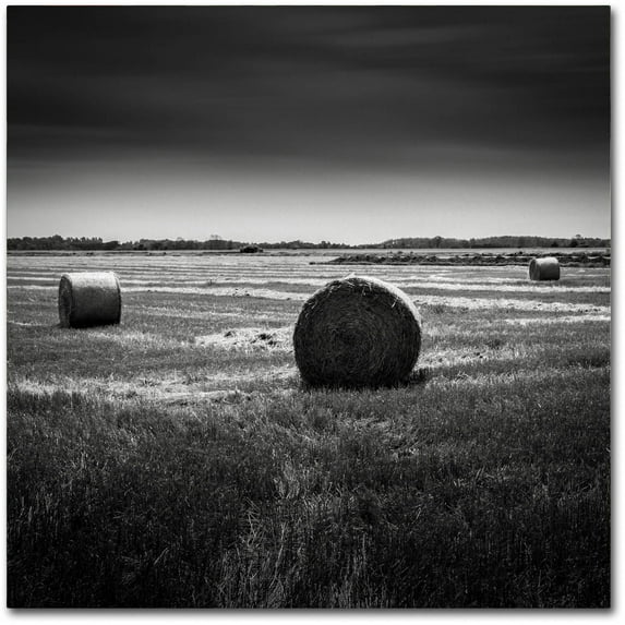 Trademark Fine Art Dave MacVicar 'Rural' 35 x 35 (ALI0848-C3535GG)