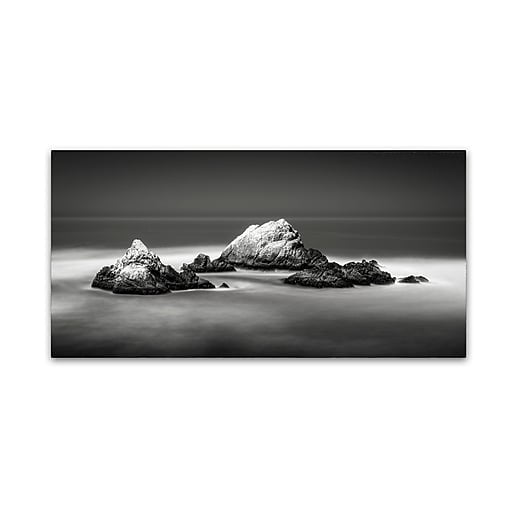 Trademark Fine Art Dave MacVicar 'Seal Rocks' 24 x 47 (ALI0851-C2447GG)