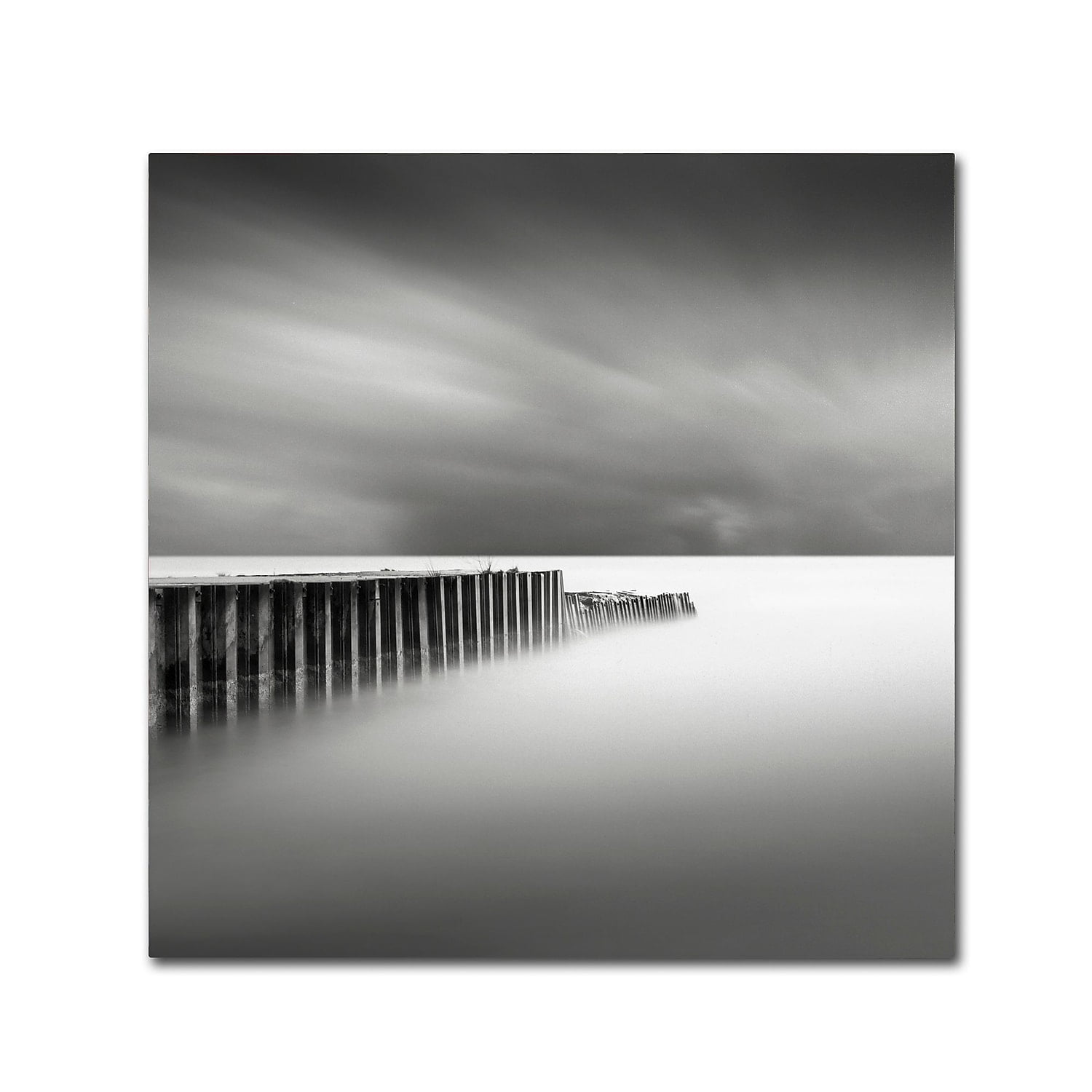 Trademark Fine Art Dave MacVicar 'Stormy' 14 x 14 (ALI0855-C1414GG)