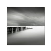 Trademark Fine Art Dave MacVicar 'Stormy' 14 x 14 (ALI0855-C1414GG)