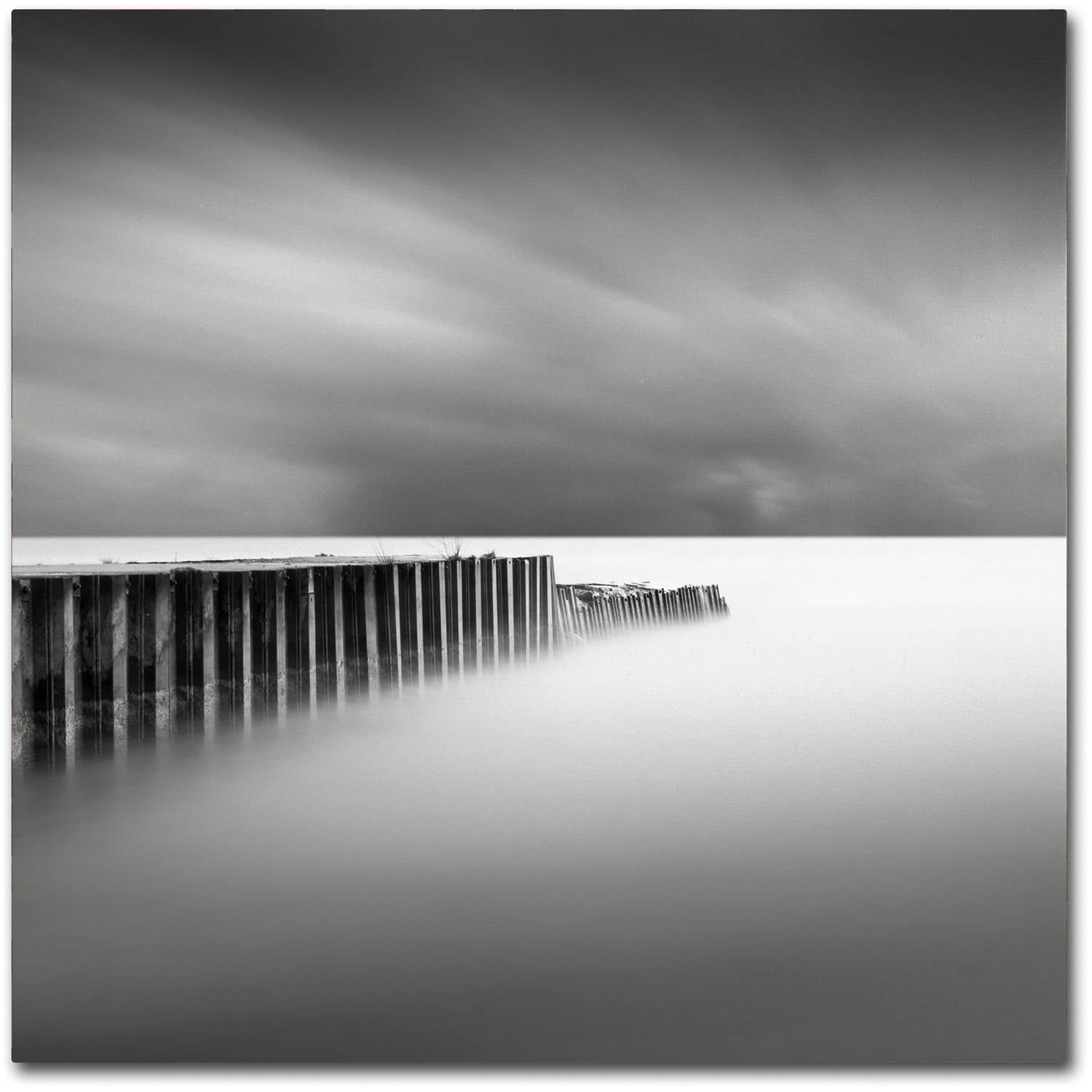 Trademark Fine Art Dave MacVicar 'Stormy' 24 x 24 (ALI0855-C2424GG)