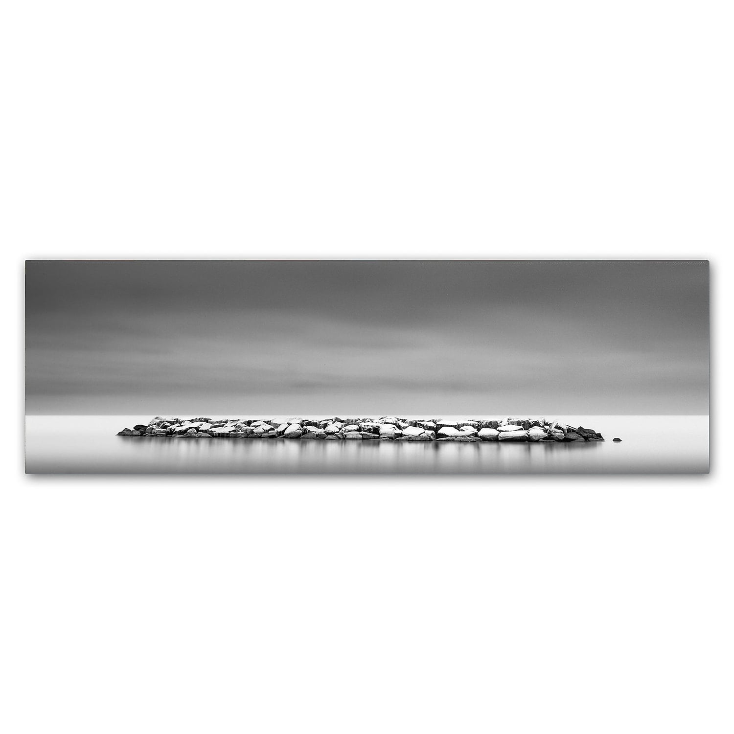 Trademark Fine Art Dave MacVicar 'Sugar Coated' 8 x 24 (ALI0856-C824GG)