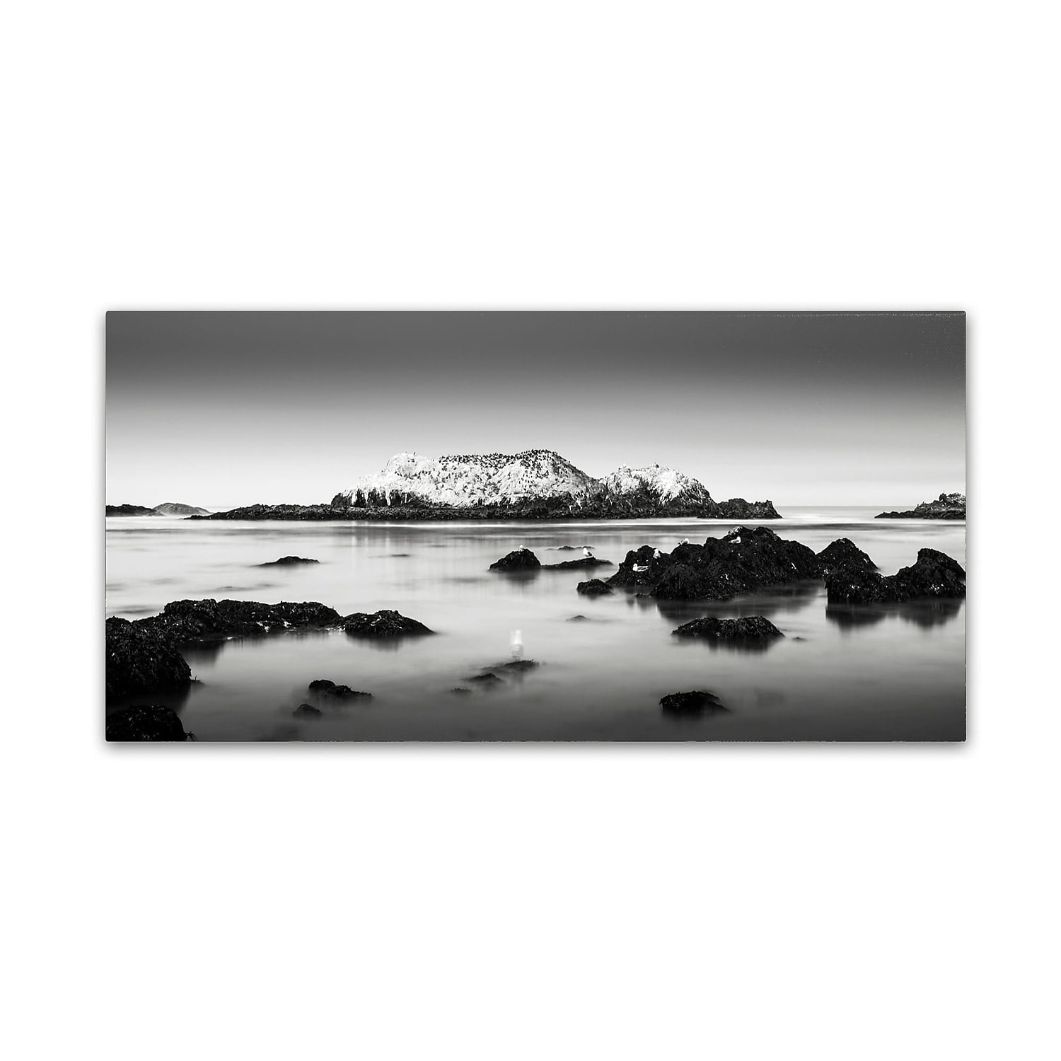Trademark Fine Art Dave MacVicar 'The Gathering' 12 x 24 (ALI0860-C1224GG)