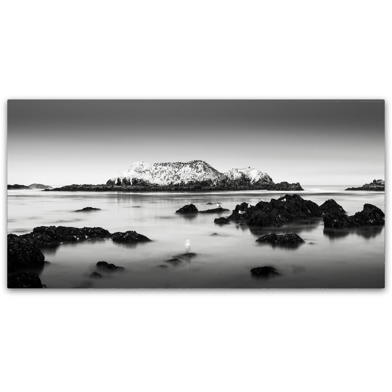 Trademark Fine Art Dave MacVicar 'The Gathering' 24 x 47 (ALI0860-C2447GG)