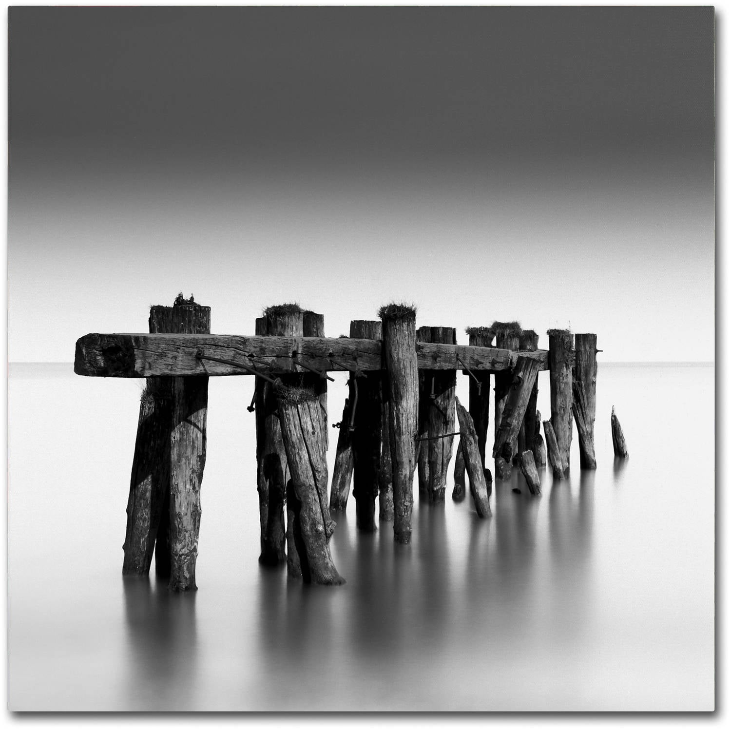 Trademark Fine Art Dave MacVicar 'Weathered' 24 x 24 (ALI0865-C2424GG)