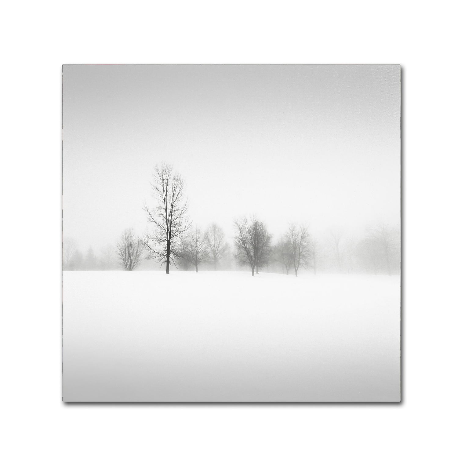 Trademark Fine Art Dave MacVicar 'Winter Fog' 14 x 14 (ALI0879-C1414GG)