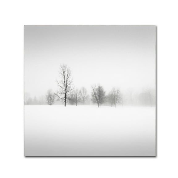 Trademark Fine Art Dave MacVicar 'Winter Fog' 14 x 14 (ALI0879-C1414GG)