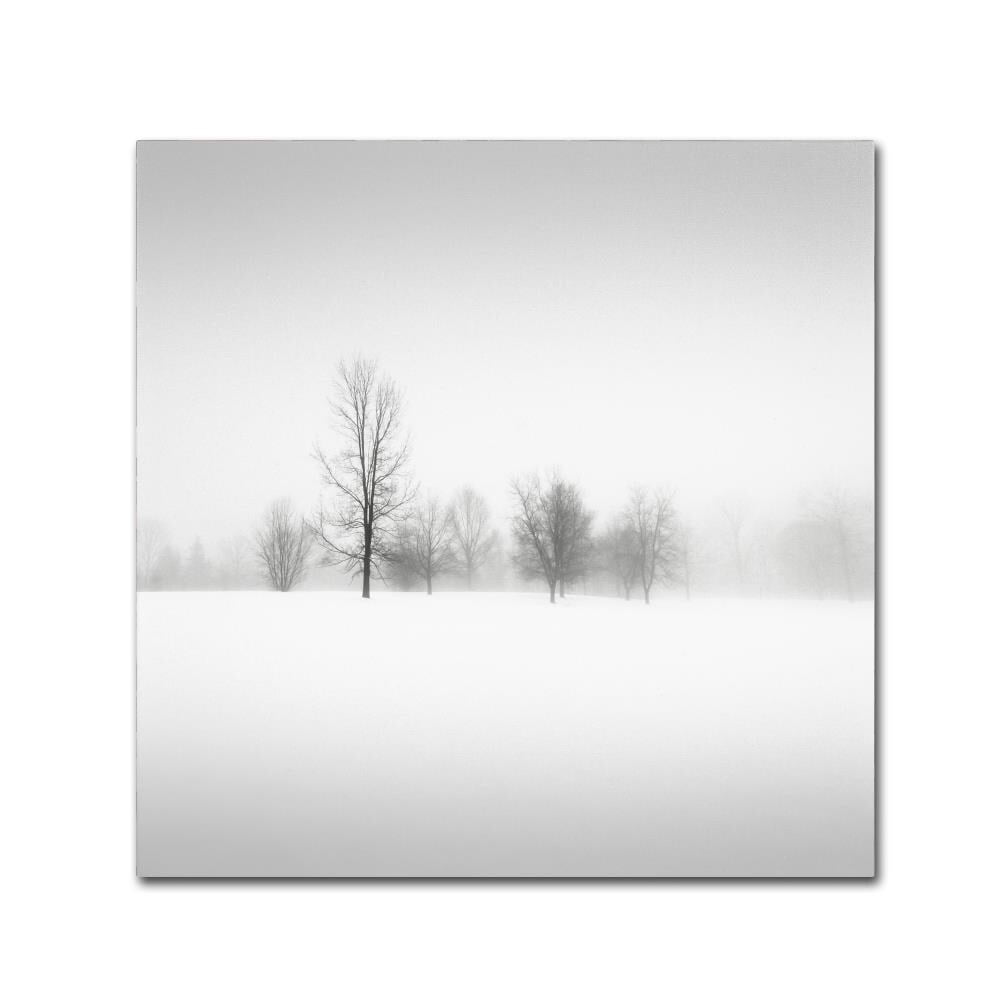 Trademark Fine Art Dave MacVicar 'Winter Fog' 18 x 18 (ALI0879-C1818GG)