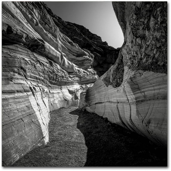 Trademark Fine Art Dave MacVicar 'Yin Yang' 35 x 35 (ALI0880-C3535GG)