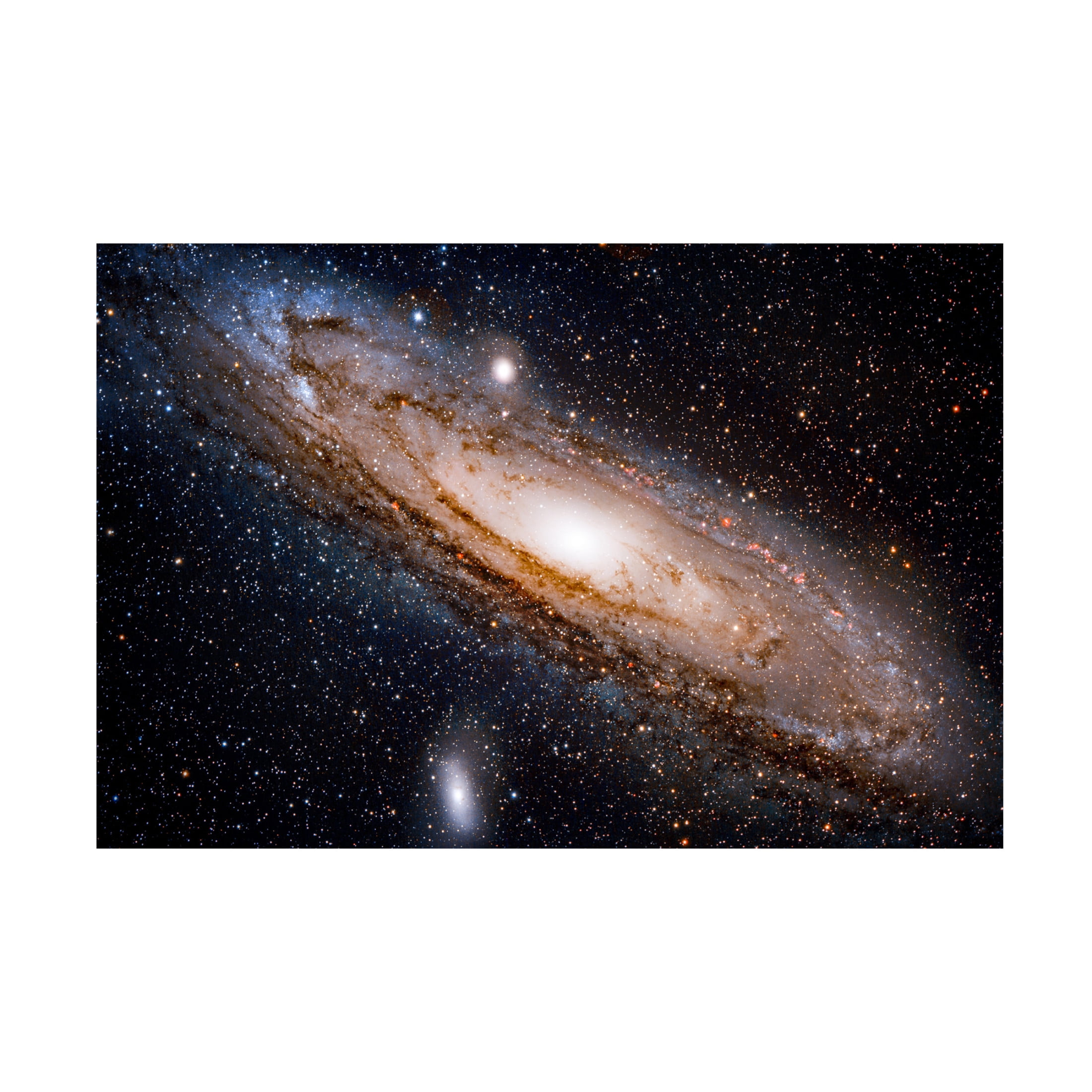 Trademark Fine Art David Dayag Andromeda Galaxy Canvas Wall Art
